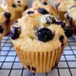 snack menu - blueberry muffin