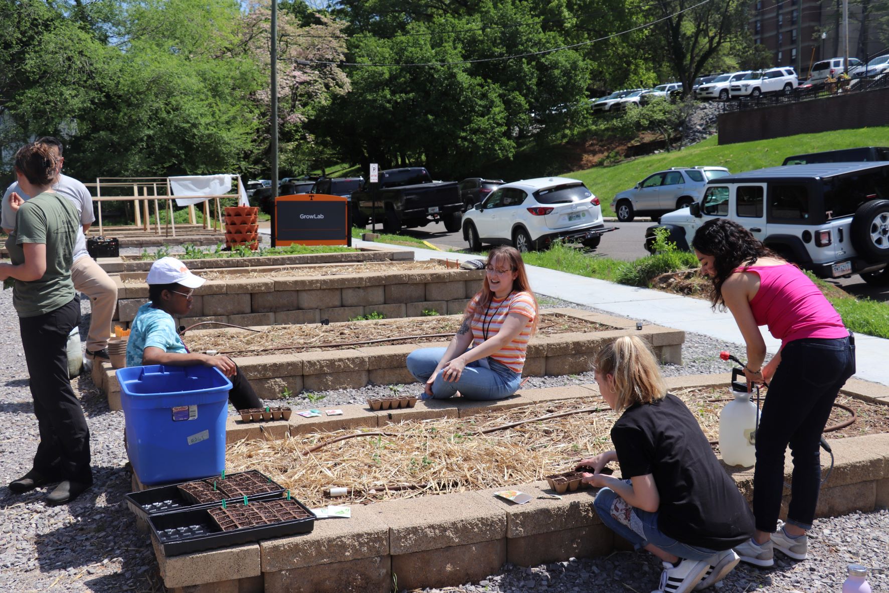 Students planting seeds in the raised garden bed