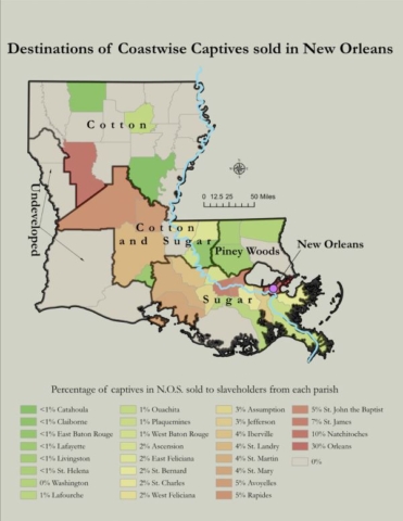 Destinations of Captives sold in New Orleans within Louisiana