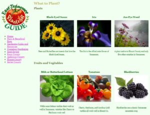 Blount Co Planting Guide