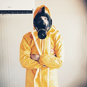 Mold Assessor
