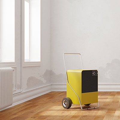 Air purifying system