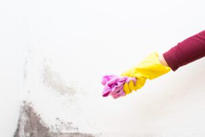 Rag with bleach to remove mold in a corner of the house.