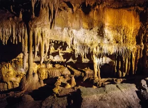 Get Connected Mammoth Cave